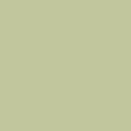 swatch-drzewo-oliwne.jpg
