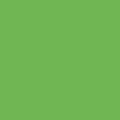 swatch-zdecydowanie-zielony.jpg
