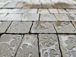 Protecon impregnat  6l