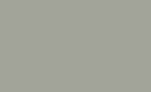 Tynk silikonowy CT74 tynk 1,5mm Sahara 6 SH6