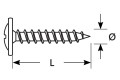 Wkręt z łbem podkładkowym WP 42 19 rolbud.info.jpg